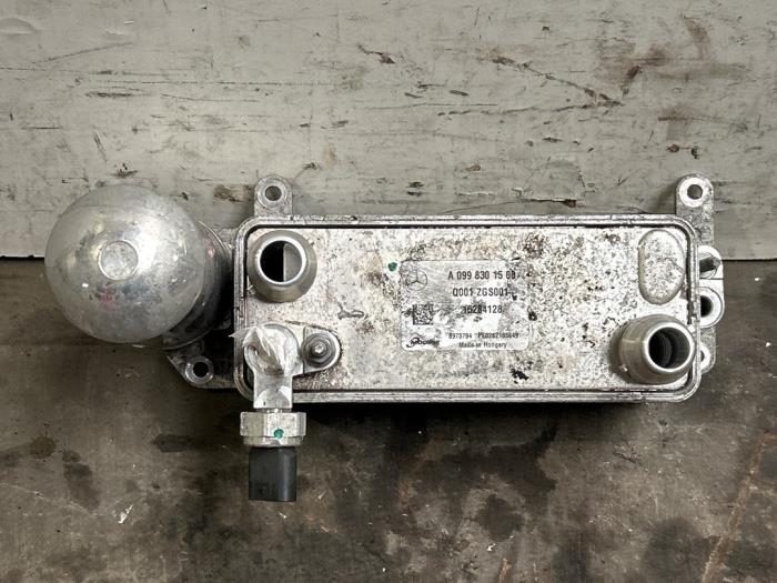 Usagé Condenseur de climatisation Mercedes EQA (N243) 250 67 kWh Prix € 151,25 Prix TTC proposé par Autoparts Van De Velde