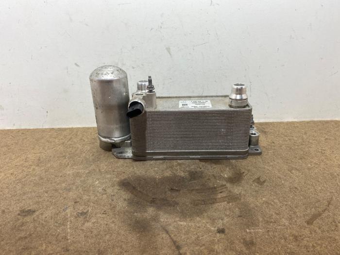 Usagé Condenseur de climatisation Mercedes EQA (N243) 250 67 kWh Prix € 151,25 Prix TTC proposé par Autoparts Van De Velde