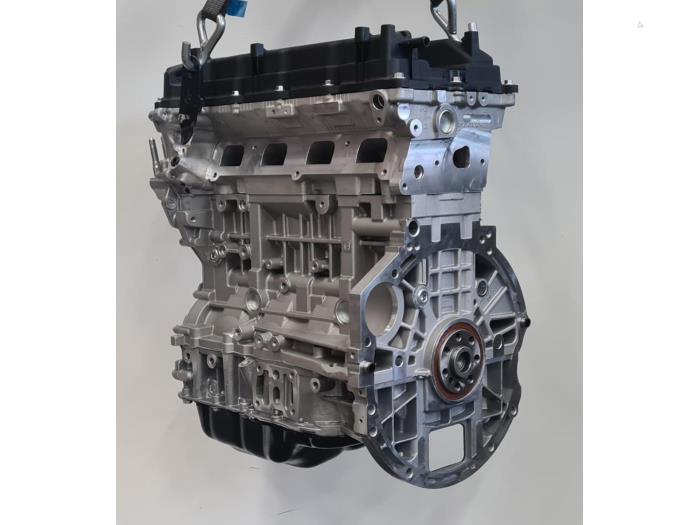 Engine from a Kia Sportage (SL) 2.0 CVVT 16V 4x4 2014