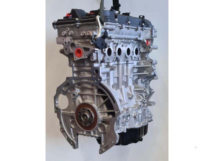 Engine from a Kia Carens IV (RP) 2.0 GDI 16V 2014