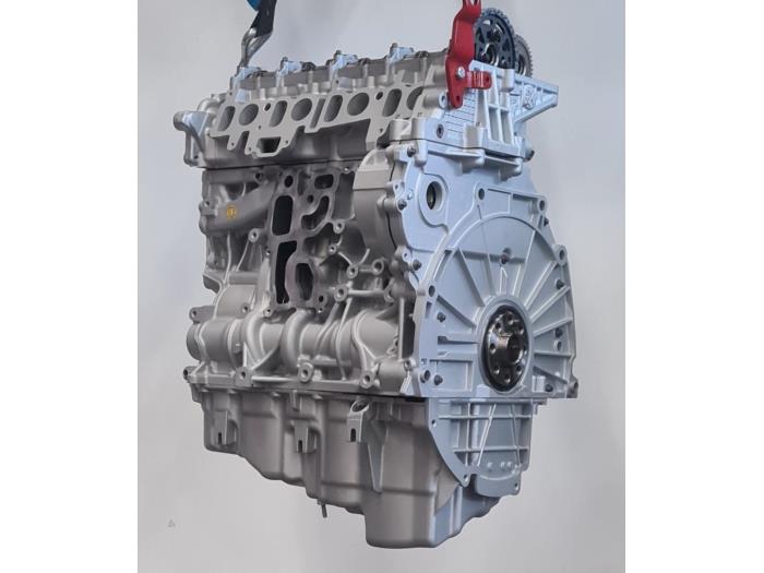 Skontrolowane Silnik BMW 1 serie (F21) 120d 2.0 16V Cena € 3.623,95 Z VAT oferowane przez Helmondse Motoren Revisie B.V.
