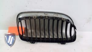 Used Grille BMW 3 serie (E90) 320i 16V Price € 18,15 Inclusive VAT offered by Vollux Carparts B.V.