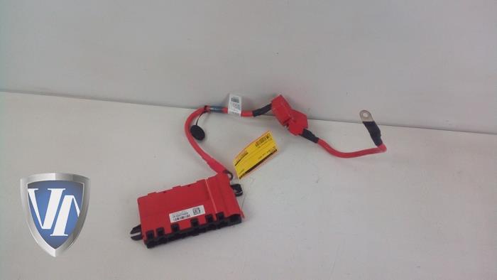Używane Biegun akumulator BMW 3 serie (F30) 316d 2.0 16V Cena € 30,25 Z VAT oferowane przez Vollux Carparts B.V.
