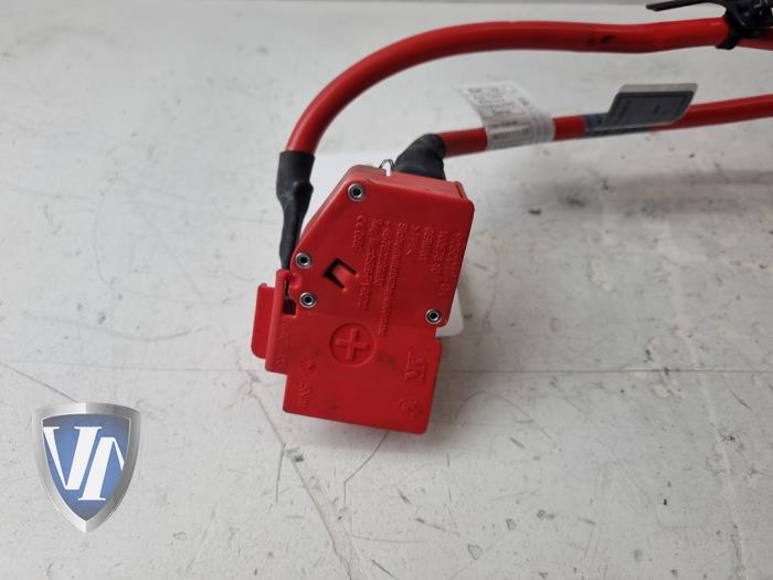 Używane Biegun akumulator BMW 1 serie (F20) 114i 1.6 16V Cena € 30,25 Z VAT oferowane przez Vollux Carparts B.V.