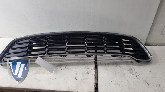 Begagnade Grill Mini Countryman (R60) Pris € 83,49 Inklusive moms erbjuds av Vollux Carparts B.V.