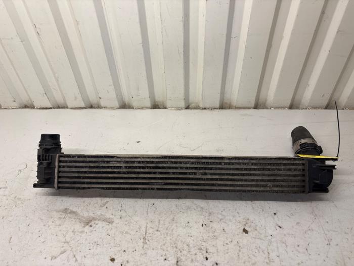 Used Intercooler Renault Megane III Berline (BZ) 1.6 16V BiFuel Price € 29,98 Margin scheme offered by Autodemontage Tegelen