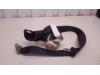 Volkswagen Tiguan (5N1/2) 2.0 TDI DRF 16V 4Motion Sicherheitsgurt links hinten