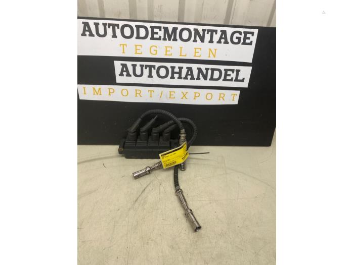 Ignition plug leads
