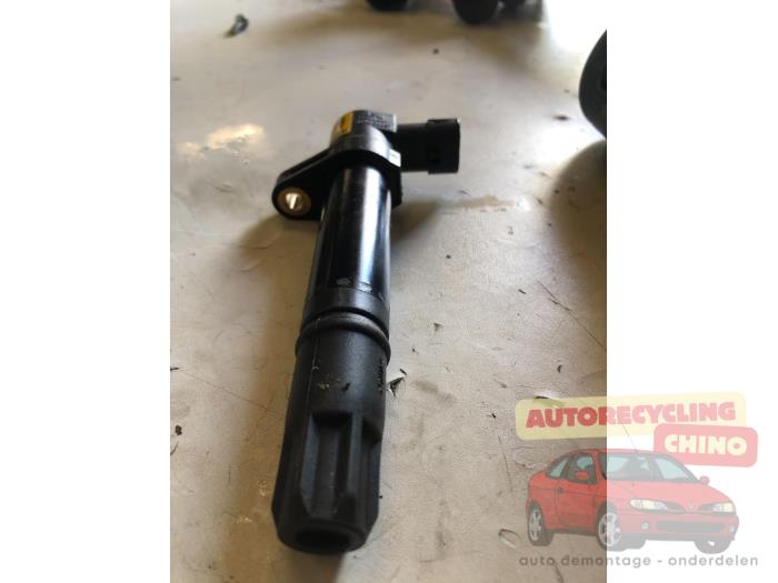Usagé Broche bobine Landrover Freelander Hard Top 2.5 V-6 Prix € 25,00 Règlement à la marge proposé par Autorecycling Chino B.V.
