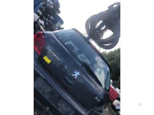 Gebrauchte Heckklappe Peugeot 307 (3A/C/D) 1.6 16V Preis € 80,00 Margenregelung angeboten von Autorecycling Bart