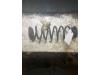 Volkswagen Touran (1T1/T2) 1.9 TDI 105 Schraubenfeder hinten