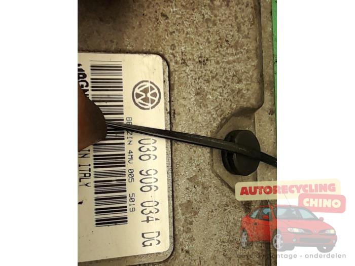 Used Engine management computer Seat Ibiza III (6L1) 1.4 16V 100 Price € 71,00 Margin scheme offered by Autorecycling Chino B.V.