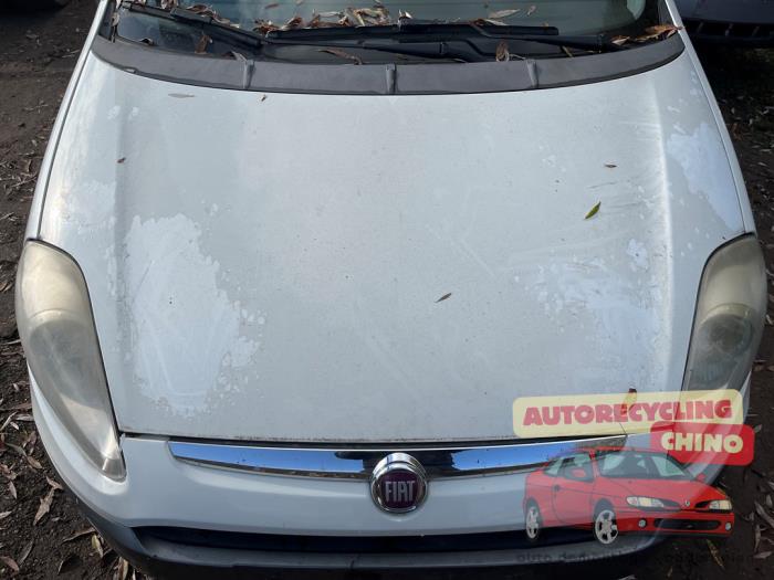 Używane Maska Fiat Punto Evo (199) 1.4 Cena € 75,00 Procedura marży oferowane przez Autorecycling Chino B.V.