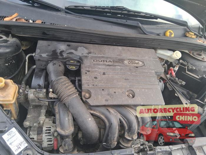 Gebrauchte Motor Ford Fiesta 5 (JD/JH) 1.4 16V Preis € 250,00 Margenregelung angeboten von Autorecycling Chino B.V.