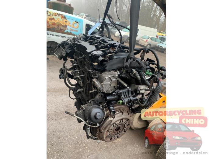 Gebrauchte Motor Ford Fiesta 6 (JA8) 1.6 TDCi 16V Preis € 475,00 Margenregelung angeboten von Autorecycling Chino B.V.
