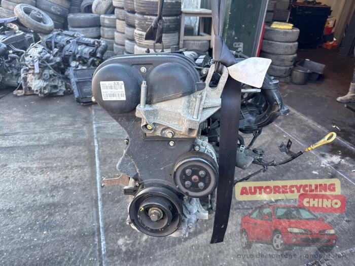 Gebrauchte Motor Ford Fiesta 6 (JA8) 1.25 16V Preis € 500,00 Margenregelung angeboten von Autorecycling Chino B.V.