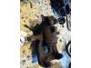 Renault Modus/Grand Modus (JP) 1.4 16V Bakre bromsok, vänster