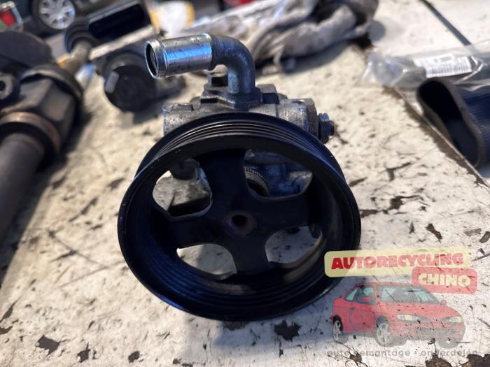 Usagé Pompe de direction Ford Transit Connect 1.8 TDdi LWB Euro 4 Prix € 30,00 Règlement à la marge proposé par Autorecycling Chino B.V.