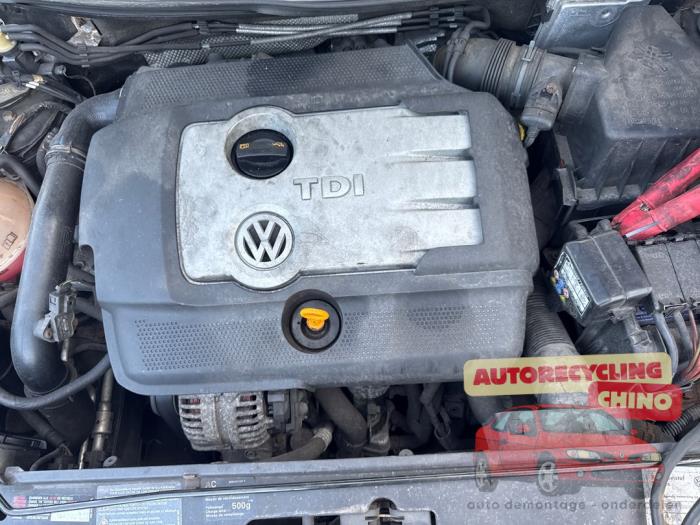 Usagé Moteur Volkswagen Polo IV (9N1/2/3) 1.4 TDI 80 Prix € 600,00 Règlement à la marge proposé par Autorecycling Chino B.V.
