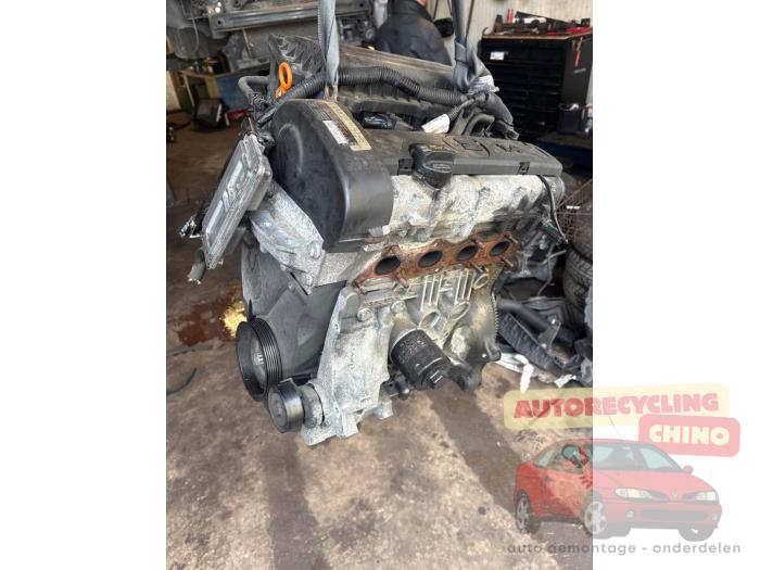 Używane Silnik Seat Ibiza IV (6J5) 1.4 16V Cena € 450,00 Procedura marży oferowane przez Autorecycling Chino B.V.