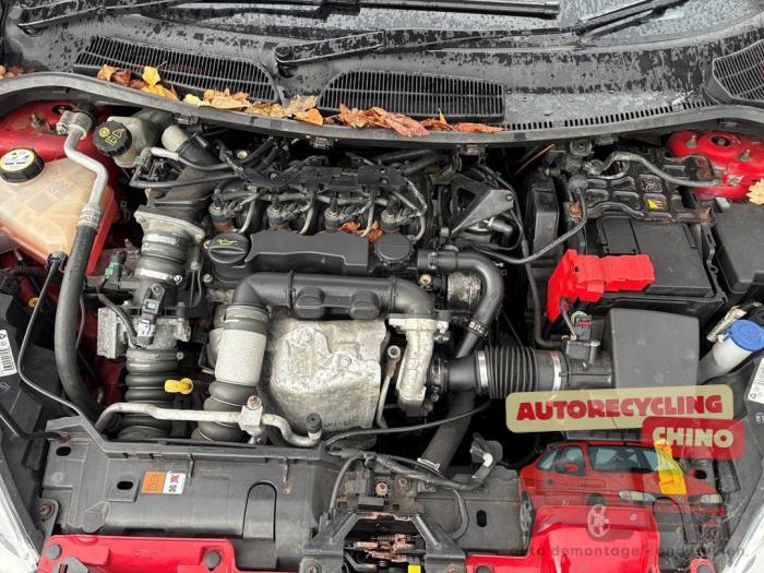 Gebrauchte Getriebe Ford Fiesta 6 (JA8) 1.6 TDCi 16V 90 Preis € 200,00 Margenregelung angeboten von Autorecycling Chino B.V.