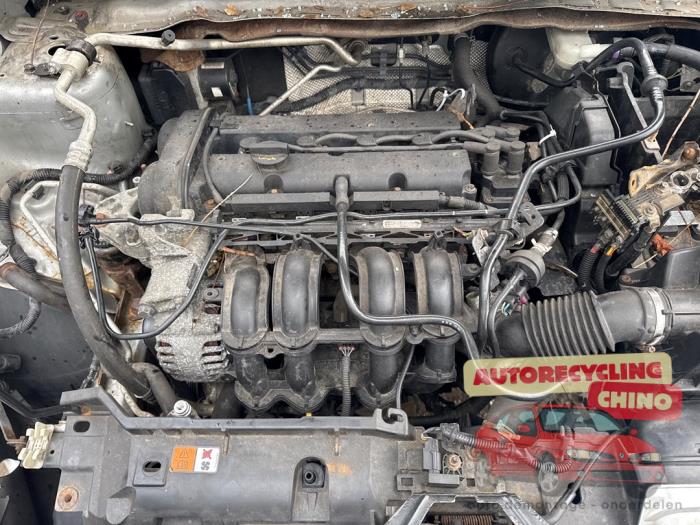 Gebrauchte Motor Ford Fiesta 6 (JA8) 1.25 16V Preis € 500,00 Margenregelung angeboten von Autorecycling Chino B.V.
