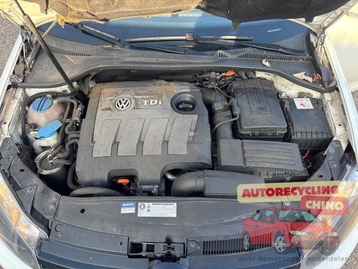 Używane Silnik Volkswagen Golf VI Variant (AJ5/1KA) 1.6 TDI 16V 105 Cena € 750,00 Procedura marży oferowane przez Autorecycling Chino B.V.