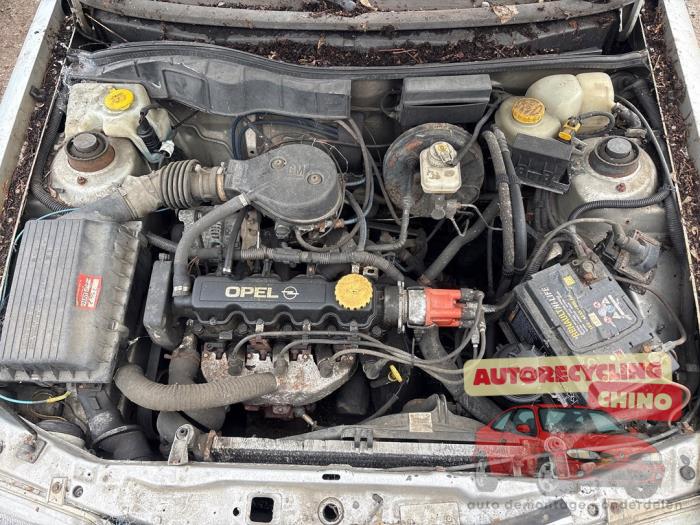 Used Engine Opel Astra F Classic (53/54/58/59) 1.4i Classic Price € 350,00 Margin scheme offered by Autorecycling Chino B.V.