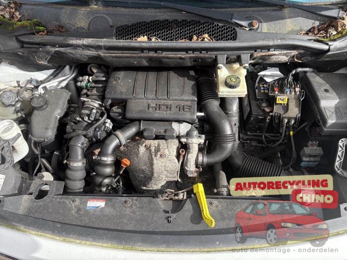 Gebrauchte Motor Citroen Berlingo 1.6 Hdi 75 16V Phase 1 Preis € 450,00 Margenregelung angeboten von Autorecycling Chino B.V.