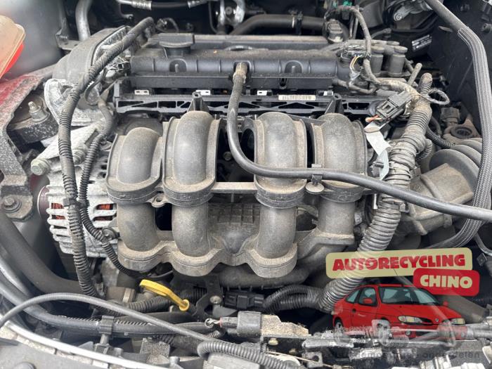 Używane Silnik Ford Focus 3 1.6 Ti-VCT 16V 125 Cena € 1.250,00 Procedura marży oferowane przez Autorecycling Chino B.V.