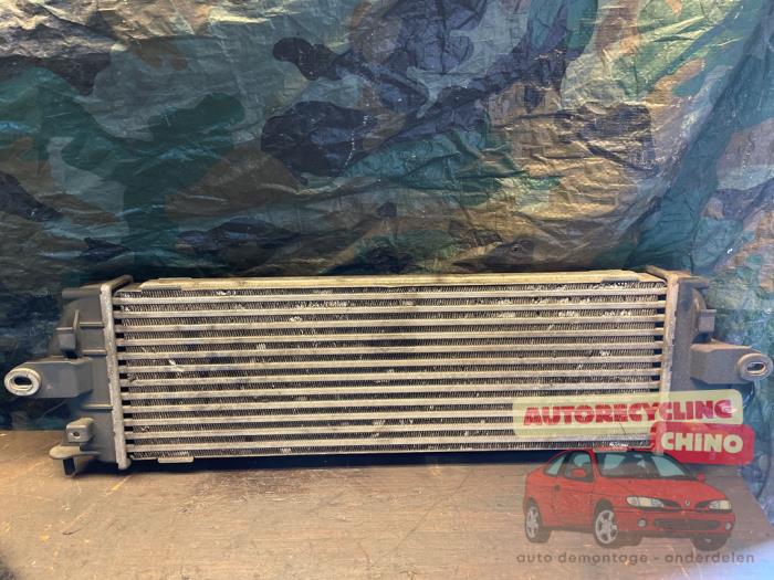 Usados Intercooler Renault Trafic New (FL) 2.0 dCi 16V 90 Precio € 50,00 Norma de margen ofrecido por Autorecycling Chino B.V.