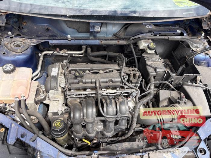 Used Engine Ford Focus 2 1.6 Ti-VCT 16V Price € 500,00 Margin scheme offered by Autorecycling Chino B.V.