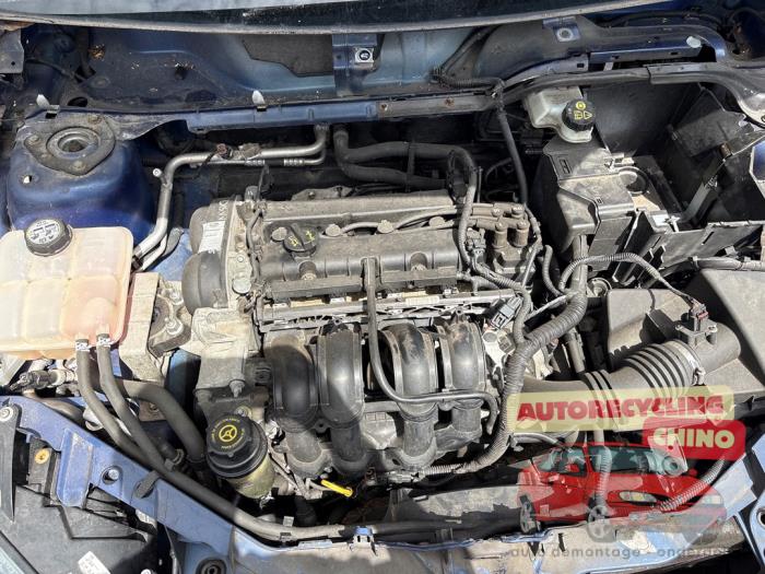 Gebrauchte Getriebe Ford Focus 2 1.6 Ti-VCT 16V Preis € 350,00 Margenregelung angeboten von Autorecycling Chino B.V.