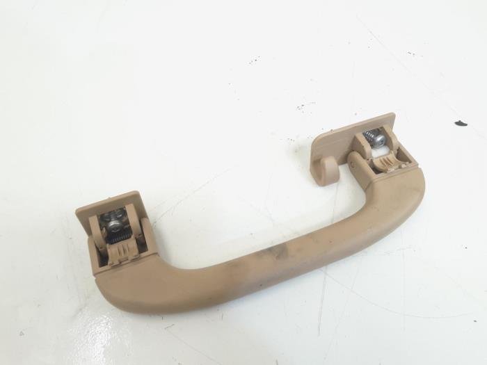 Roof grab handles