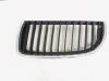 Grille from a BMW 3 serie (E90), 2005 / 2011 318d 16V, Saloon, 4-dr, Diesel, 1.995cc, 105kW (143pk), RWD, N47D20A; N47D20C, 2007-02 / 2011-10 2009