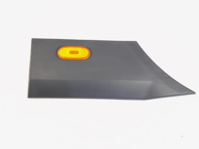 Rear fender trim