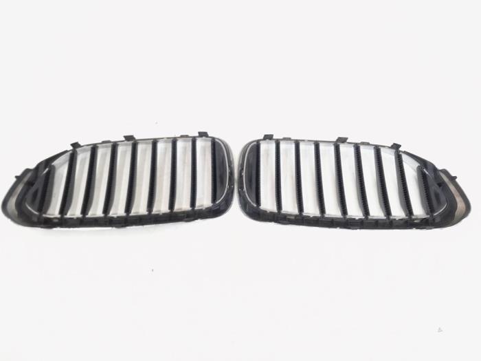 Grille from a BMW 5 serie (G30) 520i 2.0 TwinPower Turbo 16V 2018