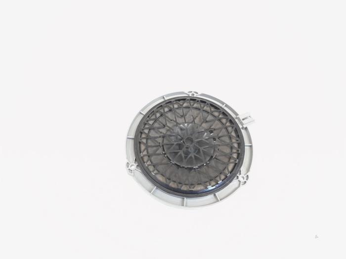 Rear door speaker