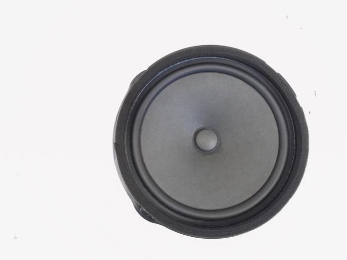 Front door speaker
