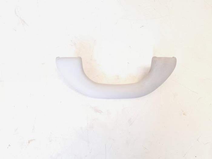 Roof grab handles