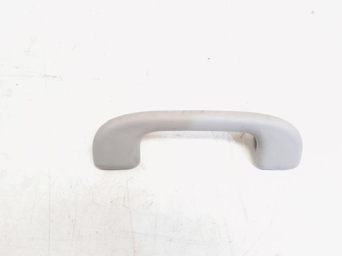 Roof grab handles