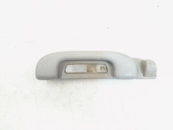 Roof grab handles