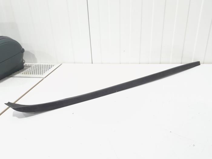 Windshield trim