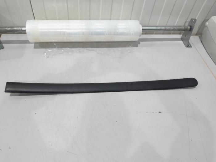 Door trim (molding)