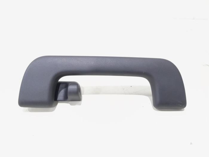 Roof grab handles