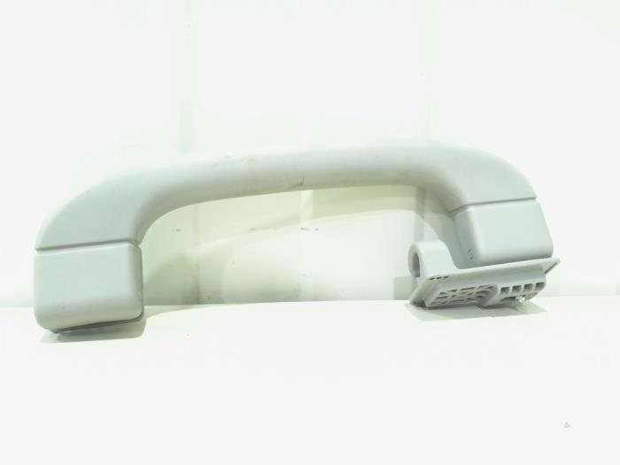 Roof grab handles