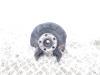 Audi A1 Sportback (8XA/8XF) 1.6 TDI 16V Achsschenkel links vorne