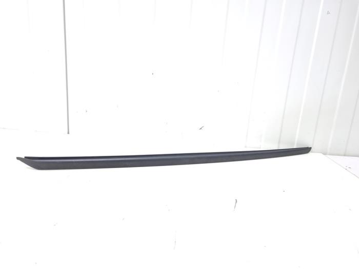 Windshield trim