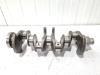 Audi A1 Sportback (8XA/8XF) 1.6 TDI 16V Kurbelwelle