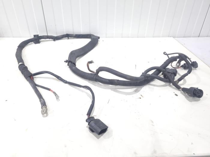 Gebrauchte Kabelbaum Audi S4 Avant (B8) S4 3.0 TFSI V6 24V Preis € 39,00 Margenregelung angeboten von GEJO Revisie & Onderdelen BV